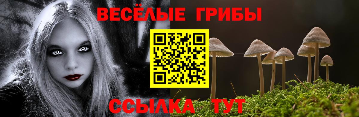 Усолье-Сибирское  Галлюциногенные грибы прущие грибы  Вход с VPN 
